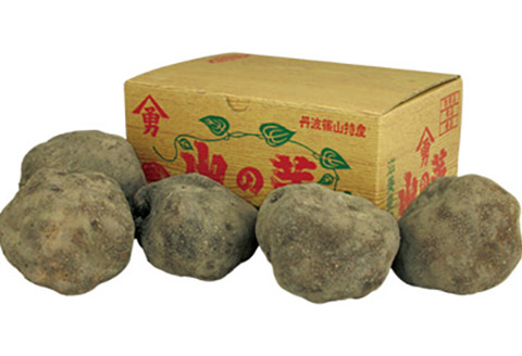 丹波篠山産 山の芋 秀品 2kg箱　令和7年産 新物