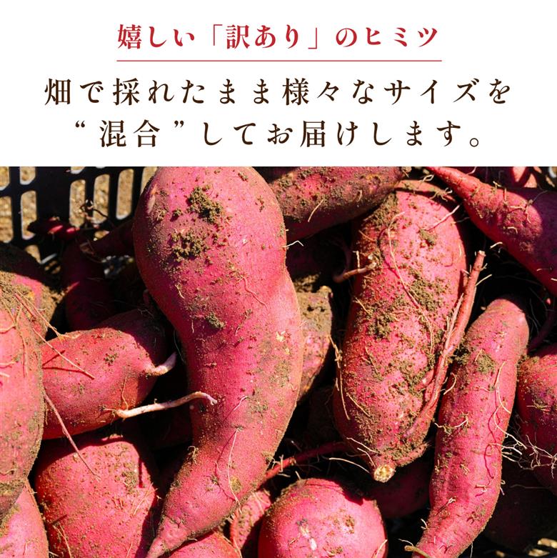 【訳あり】杉尾農園 丹波篠山産 さつまいも 紅はるか 2kg 形は不揃いでも味は一級品。たくさん使える「訳あり」で！