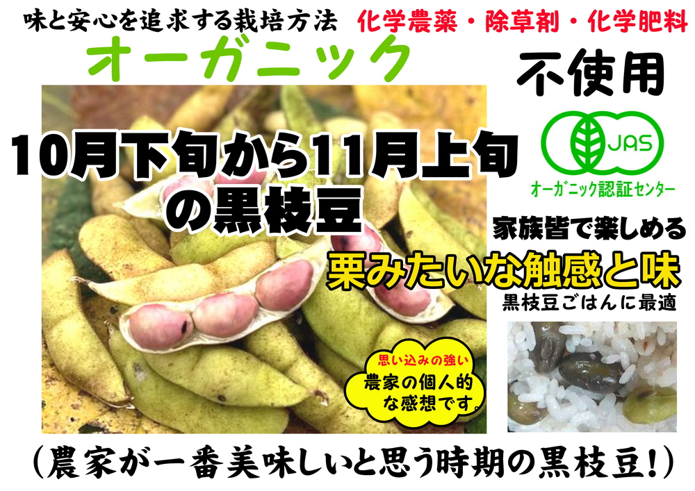 【令和8年10月中旬頃から11月上旬頃発送予定】日本遺産 丹波篠山市 JAS有機栽培 オーガニック黒枝豆（200ｇ×5袋） プレミアム枝豆 期間限定 黒枝豆 えだまめ エダマメ お取り寄せグルメ 高級 特産品 名産品 おつまみ おうち居酒屋