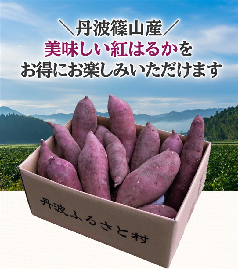 【2025年11月中旬以降発送】丹波ふるさと村の紅はるか　5ｋｇ（サイズ未選別）　さつまいも