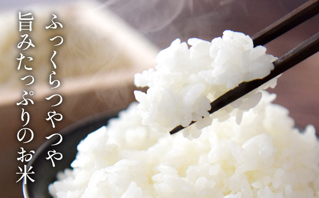 《定期便》令和7年産 特Aランク 丹波篠山産 特別栽培米 こしひかり 玄米 5kg 全6回 減農薬 自家製堆肥 国産 兵庫県丹波篠山市