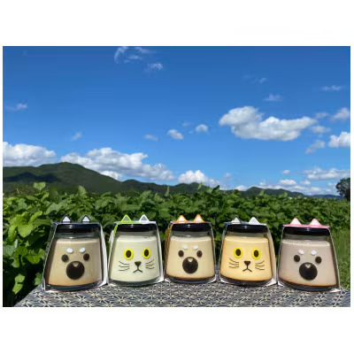 丹波篠山黒豆プリンと川北黒大豆のセット