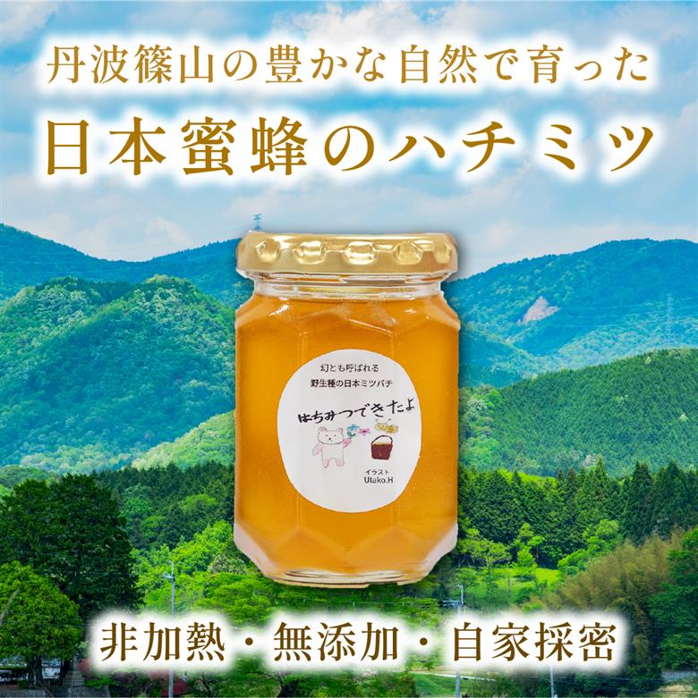 【限定数量】職人が守る幻の日本蜜蜂ハチミツ 非加熱 国産 純粋 170g │ 兵庫県 丹波篠山市 天然 はちみつ 無加工 生はちみつ ニホンミツバチ 日本蜜蜂 日本ミツバチ 蜂蜜 ハチミツ 純粋 非加熱 国産