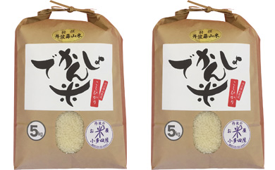 【令和7年産】お米のおいしさ伝えたい！丹波篠山産コシヒカリ5kg×2