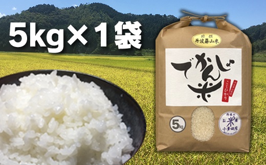 【令和7年産】丹波篠山の地醤油漬、佃煮セット　令和6年産 でかんしょ米5kgと実山椒・山蕗