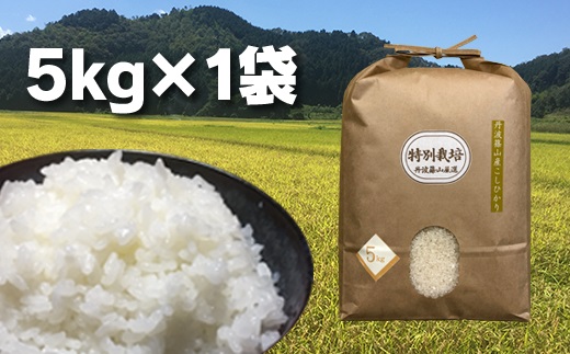 【令和7年産】丹波篠山の地醤油漬、佃煮セット　令和6年産 特別栽培米5kgと実山椒・山蕗