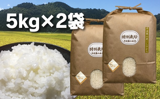 【令和7年産】丹波篠山の地醤油漬、佃煮セット　令和6年産 特別栽培米5kg×２と実山椒・山蕗