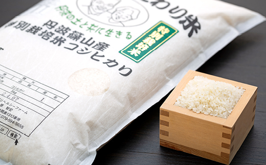 【2025年産】丹波篠山産特別栽培コシヒカリ白米5kg 兵庫県 丹波篠山市 白米 100％単一原料米 産地直送米 おいしい お米 精米 ブランド おこめ 健康 送料無料 おすすめ 人気 口コミ