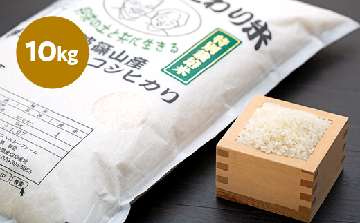 【2025年産】丹波篠山産特別栽培コシヒカリ白米10kg 兵庫県 丹波篠山市 白米 100％単一原料米 産地直送米 おいしい お米 精米 ブランド おこめ 健康 送料無料 おすすめ 人気 口コミ