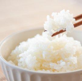 【2025年産】丹波篠山産つきあかり 白米 5kg 兵庫県 丹波篠山市 白米 100％単一原料米 産地直送米 おいしい お米 精米 ブランド おこめ 健康 送料無料 おすすめ 人気 口コミ