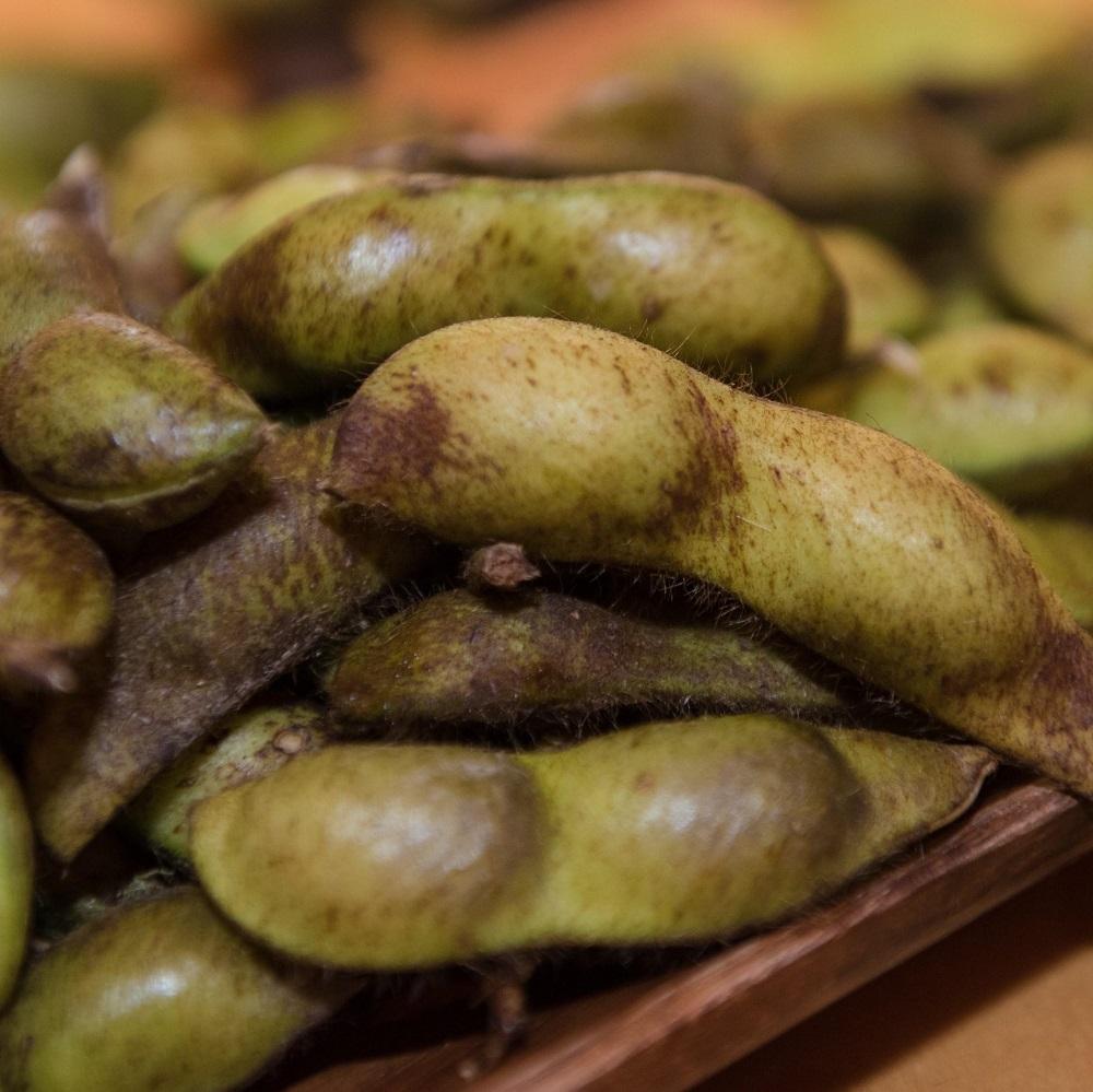 【2025年産 2025年10月以降順次発送】丹波篠山産 黒大豆枝豆 500g×20袋 兵庫県 丹波篠山市 プレミアム枝豆 期間限定 黒枝豆 えだまめ エダマメ お取り寄せグルメ 高級 特産品 名産品 おつまみ おうち居酒屋