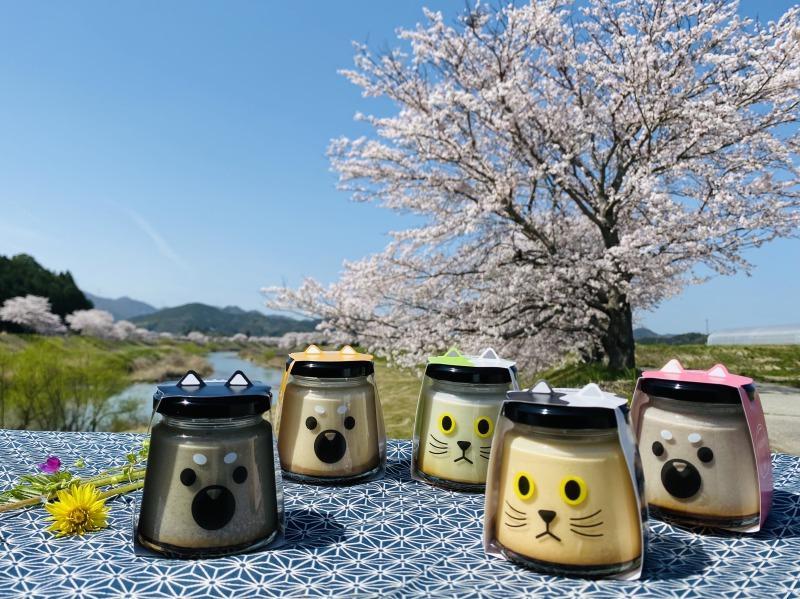 丹波篠山黒豆プリン　5種類アソートセット