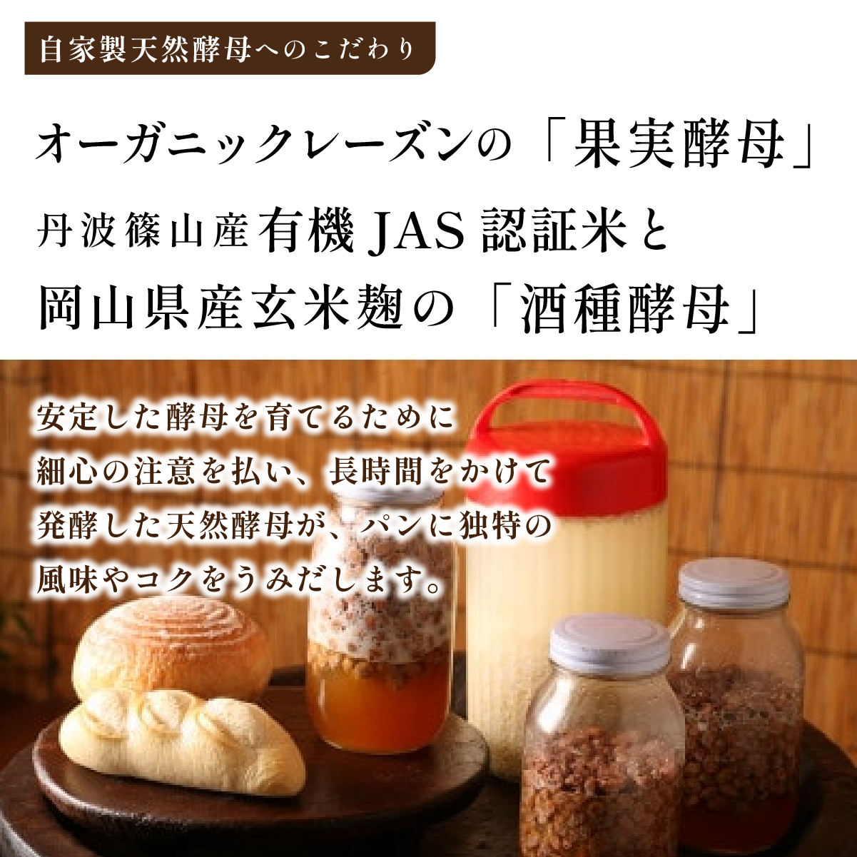 全粒粉パン ６種入り セット