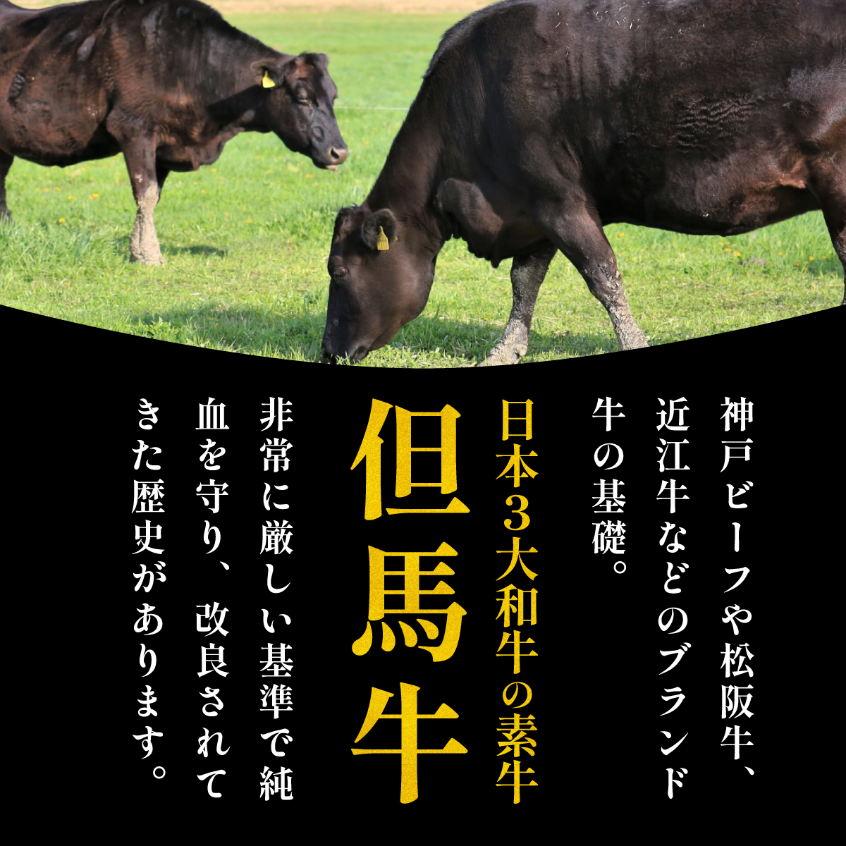 但馬牛サーロインステーキ　400g(200g×2枚)