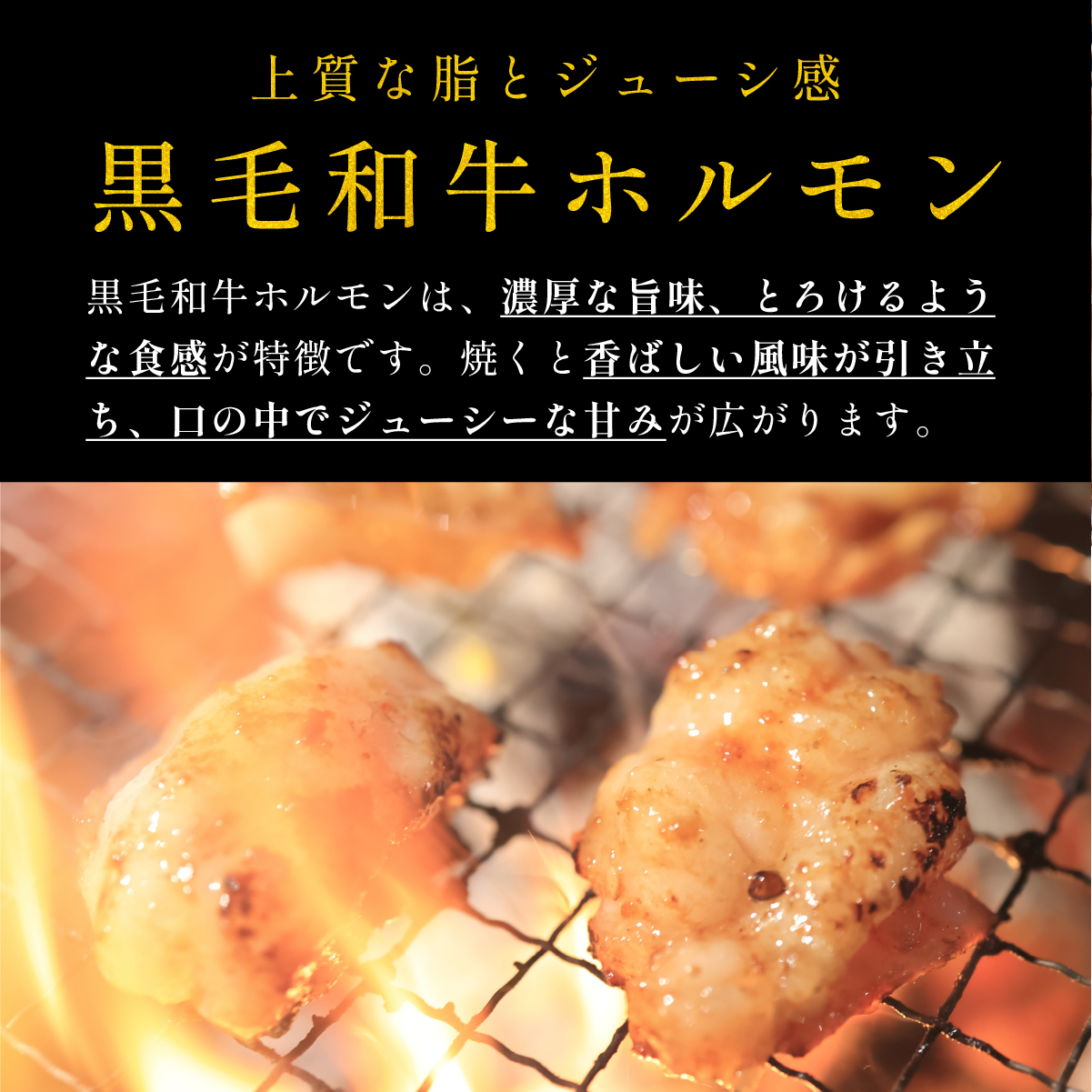 国産黒毛和牛 タレ漬けホルモンミックス　韓国味噌ダレ 250g x 2袋