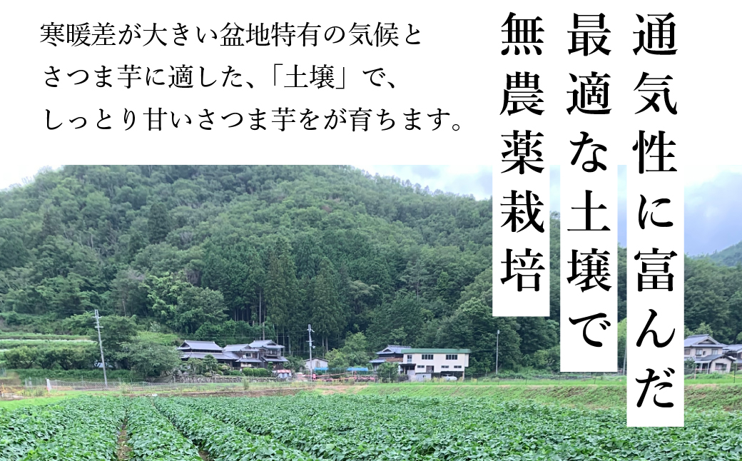 さつま芋　紅はるか　サイズ混合　3kg│ さつまいも サツマイモ さつま芋 甘い ホクホク 焼き芋 焼芋 焼いも
