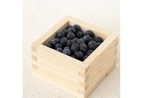 【令和7年産】丹波篠山産黒大豆　大サイズ　300g×2