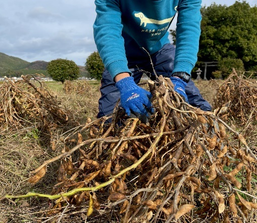 農家の手作り　黒豆みそ　500ｇ入り×３