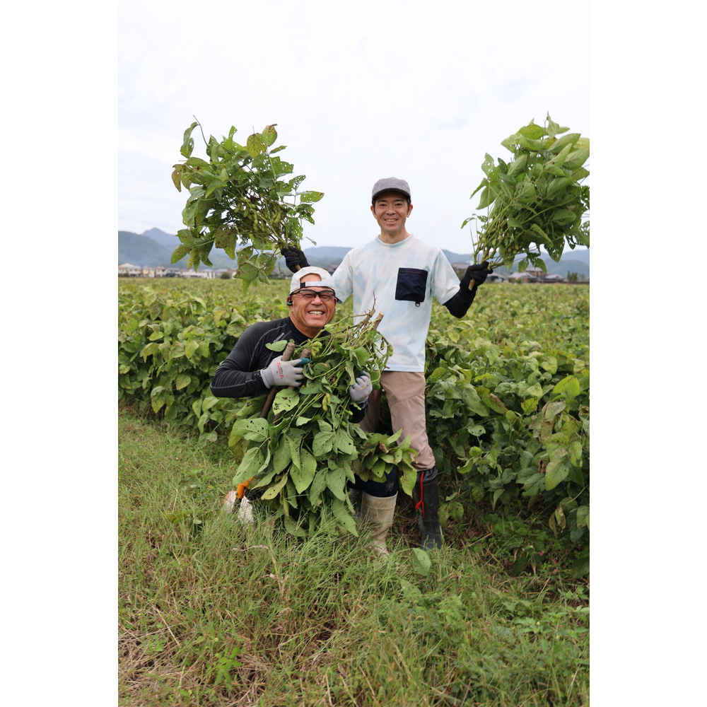 【令和8年10月中旬頃から11月上旬頃発送予定】日本遺産 丹波篠山市 JAS有機栽培 オーガニック黒枝豆（200ｇ×10袋） プレミアム枝豆 期間限定 黒枝豆 えだまめ エダマメ お取り寄せグルメ 高級 特産品 名産品 おつまみ おうち居酒屋