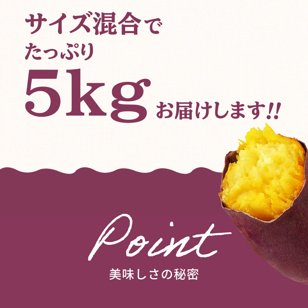 【2025年11月中旬以降発送】丹波ふるさと村の紅はるか　5ｋｇ（サイズ未選別）　さつまいも