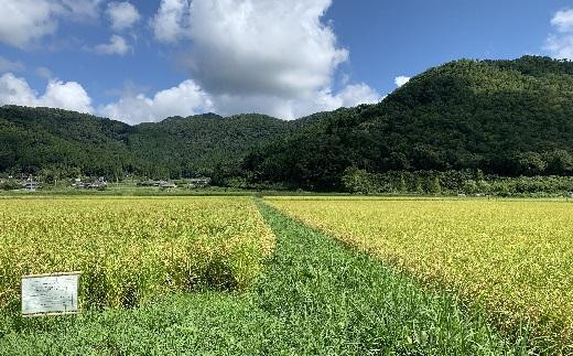 【令和7年産】 抜群の味と香り　丹波篠山産コシヒカリ5kg×１山椒醤油漬セット