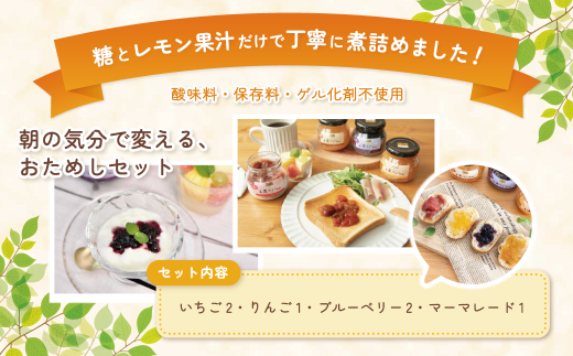 カンピー ザ・プレミアム　手造りジャム320g全4種味くらべ6個セット （グリーンウッド）