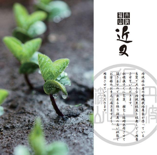 【冷凍なのでいつでも！】丹波篠山市産「丹波黒」枝豆　1ｋｇ（500g2袋）