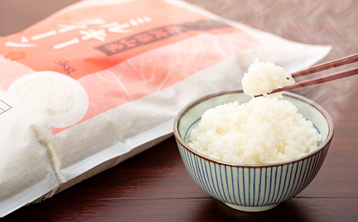 【2025年産】丹波篠山産特別栽培コシヒカリ白米5kg　丹波篠山産特別栽培ミルキークイーン白米5kg 兵庫県 丹波篠山市 白米 100％単一原料米 産地直送米 おいしい お米 精米 ブランド おこめ 健康 送料無料 おすすめ 人気 口コミ