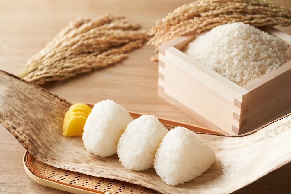 定期便6回【令和7年産】丹波篠山産　コシヒカリ　5kg