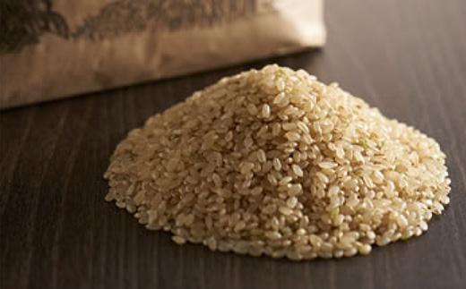 【玄米】丹波産こしひかり玄米《令和7年度産》3kg　黒米300g×2