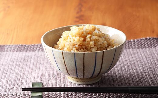 【玄米】丹波産こしひかり玄米《令和7年度産》3kg×2