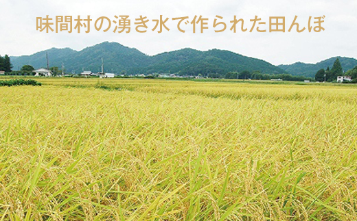 【令和7年産】　丹波篠山産　特Aランク　湧水米（わきみずまい）5ｋｇ×2袋