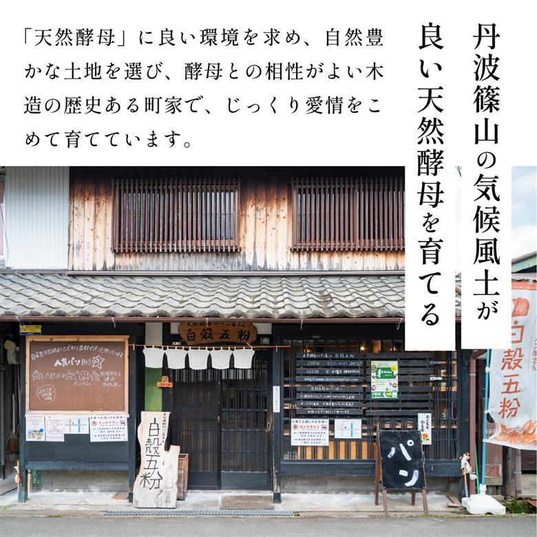 自家製天然酵母 7種入り パン セット