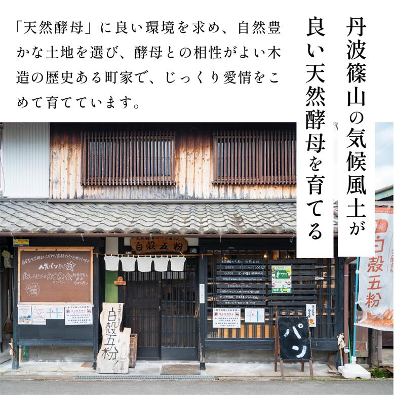 お試しちょこっとパンセット 5種入り