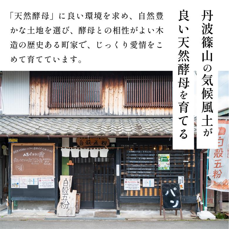 【訳あり】 自家製天然酵母 ロスパン セット