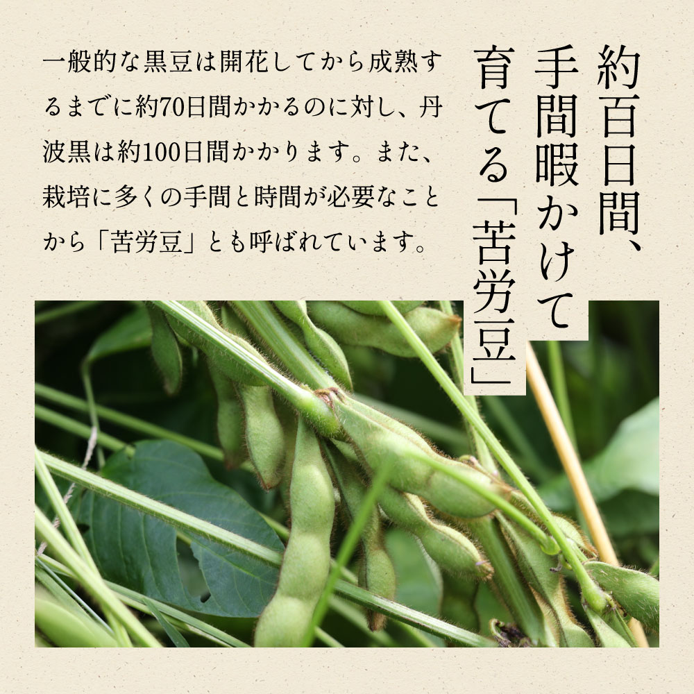【2025年10月発送】日本三大枝豆　丹波篠山黒枝豆　1.5kg(500g × 3袋) 知る人ぞ知る日本三大枝豆（丹波黒枝豆・黒崎茶豆・だだちゃ豆）のひとつ！