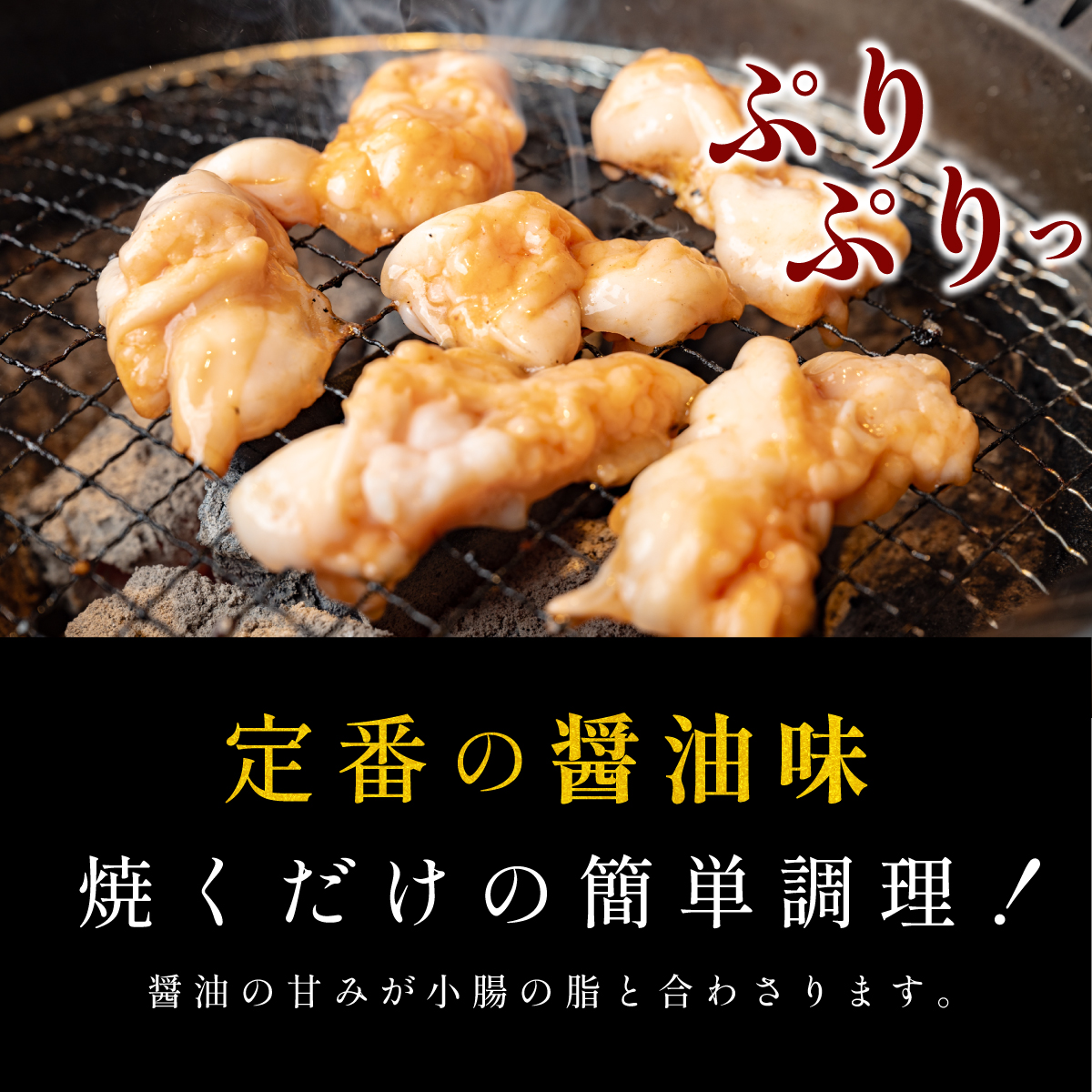 小腸セット　特製自家製しょうゆダレ漬け 250gx2袋 500g
