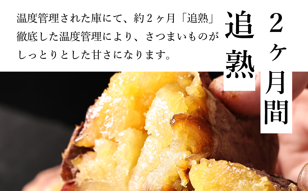 さつま芋　紅はるか　サイズ混合　10kg│ さつまいも サツマイモ さつま芋 甘い ホクホク 焼き芋 焼芋 焼いも