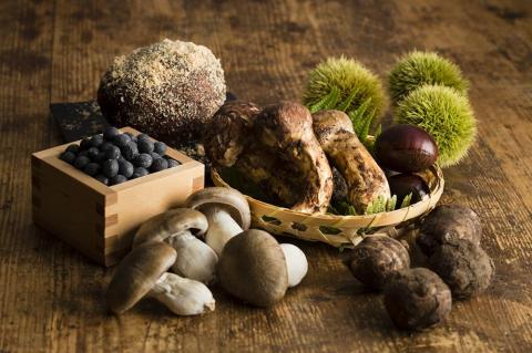 篠山城下町ホテルNIPPONIA 1泊2日ペア宿泊券（朝食付き）