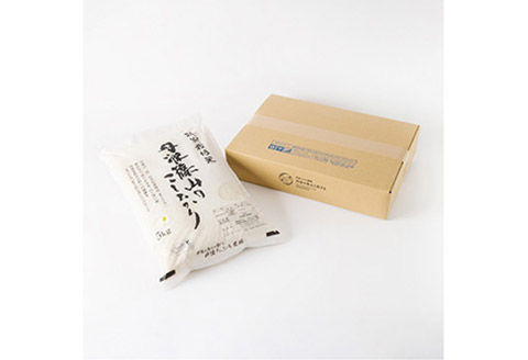 令和7年産 丹波たぶち農場の特別栽培米　こしひかり　5kg