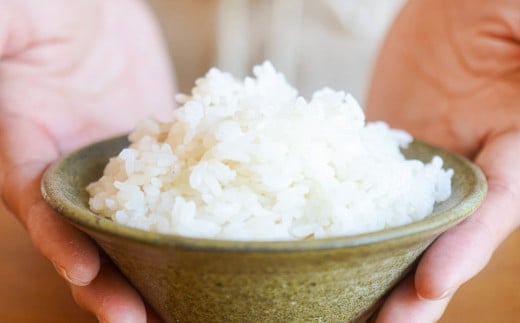 令和7年産 丹波たぶち農場の特別栽培米こしひかり 20kg