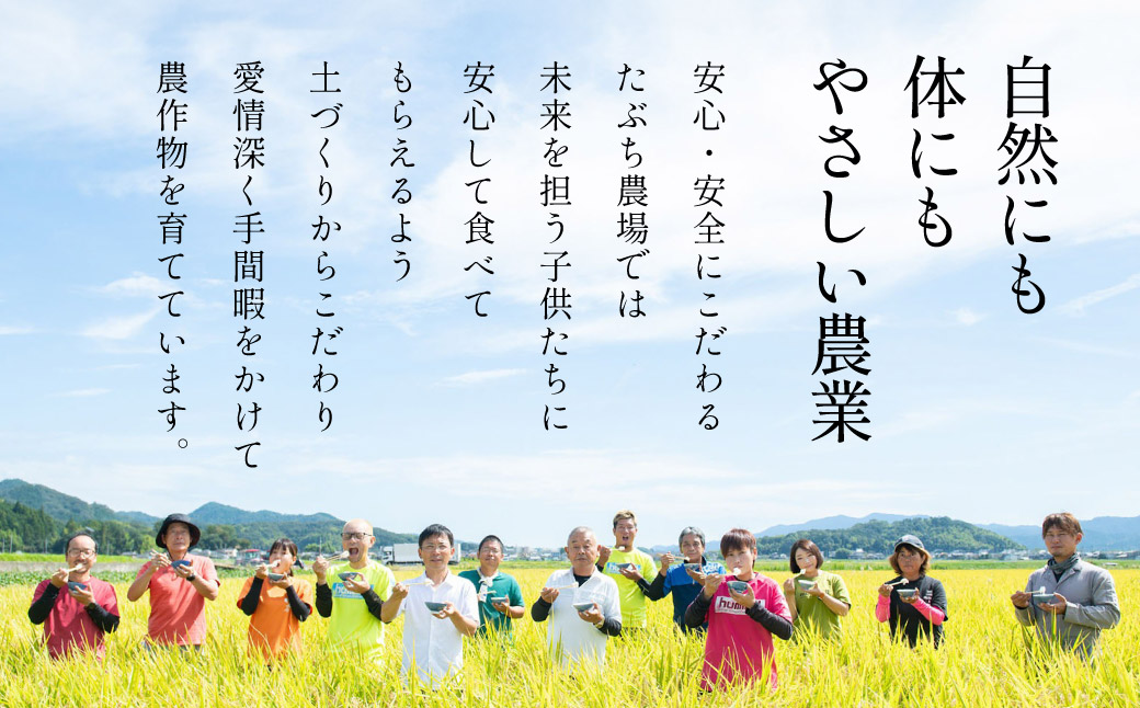 令和7年産 丹波篠山産 特Aランク 特別栽培米 こしひかり 玄米20kg