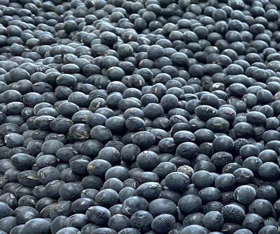 農家の手作り　黒豆みそ　500ｇ入り×３