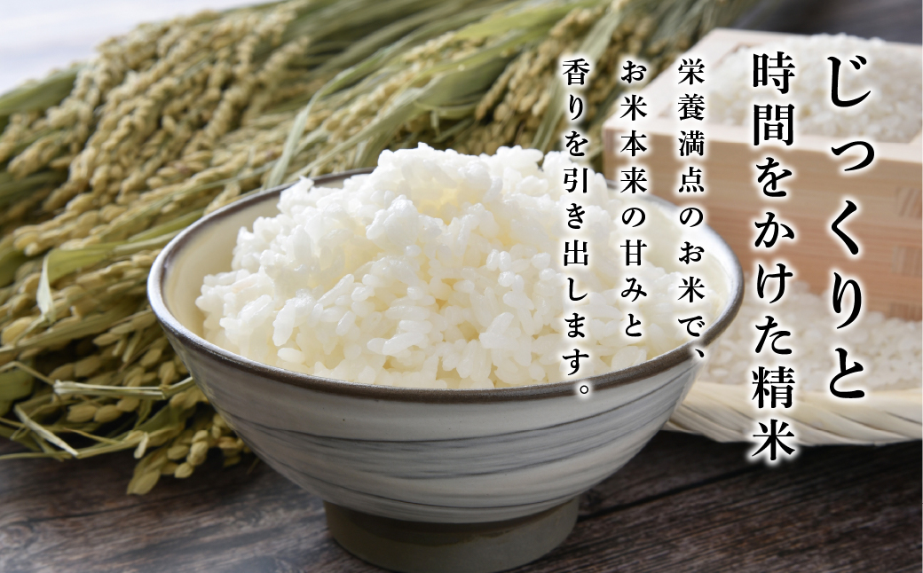 令和7年産　お米　コシヒカリ　丹波篠山産　じっくり精米25kg　白米 100％単一原料米 産地直送米 おいしい お米 精米 コシヒカリ ブランド おこめ 健康 送料無料 おすすめ 人気 口コミ