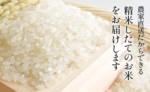 【定期便】※令和7年 新米※ 特Aランク特別栽培米　コシヒカリ　20kg（全6回）