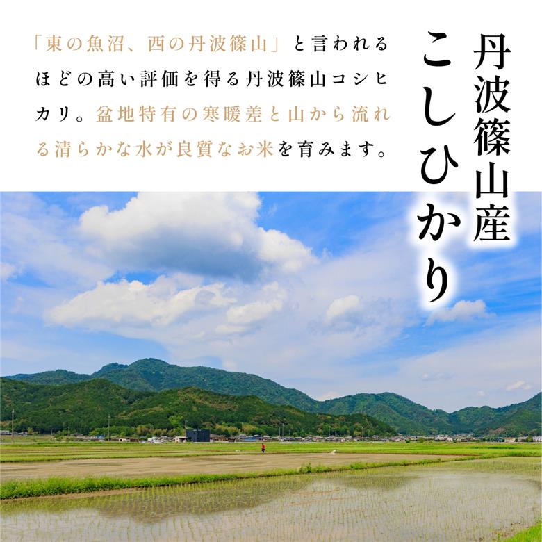 【定期便】〈令和８年産早期予約〉有機米 コシヒカリ【有機JAS認定 無農薬】 精米（5kg×12回）選べる