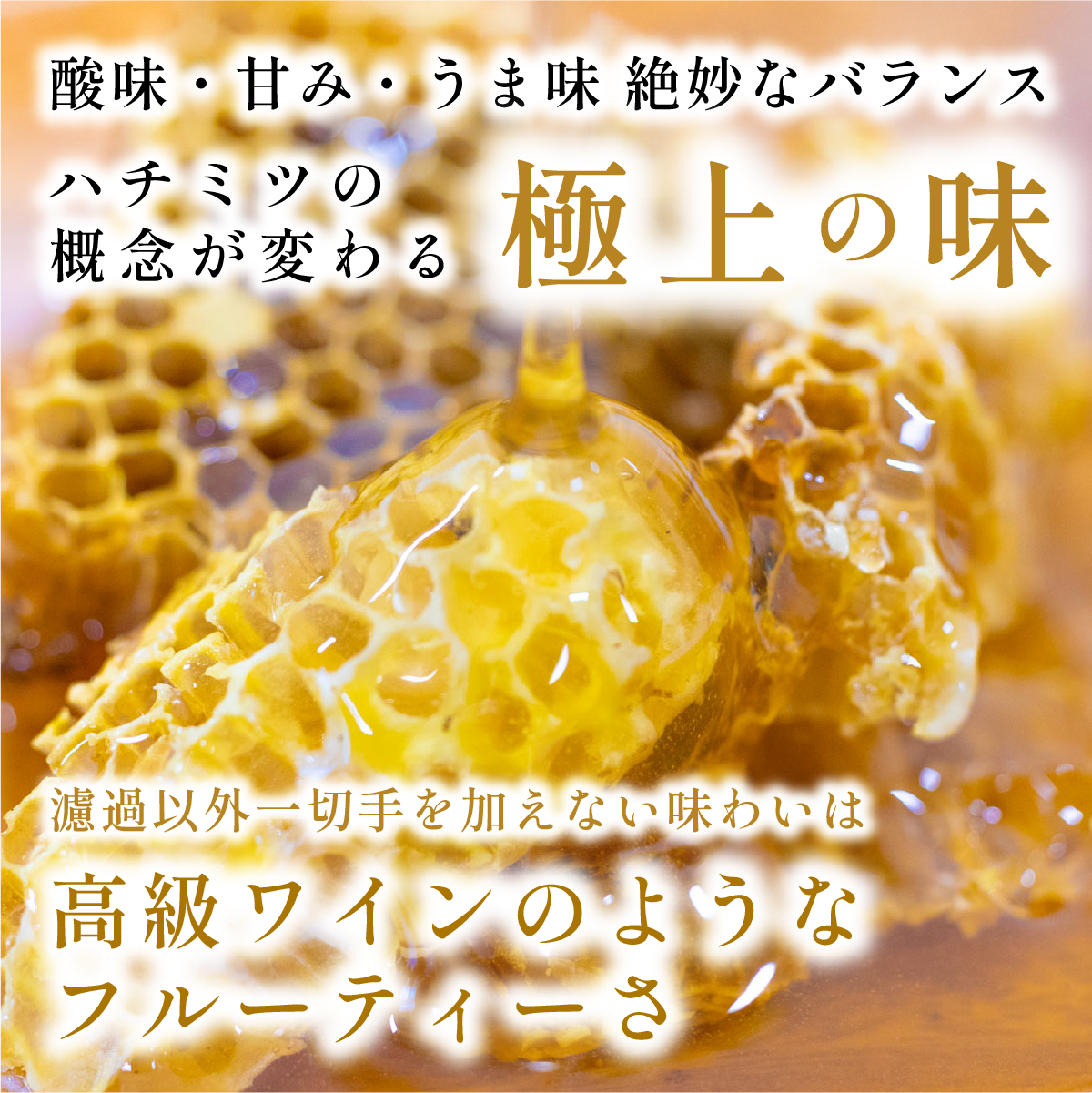 【限定数量】職人が守る幻の日本蜜蜂ハチミツ 非加熱 国産 純粋 170g │ 兵庫県 丹波篠山市 天然 はちみつ 無加工 生はちみつ ニホンミツバチ 日本蜜蜂 日本ミツバチ 蜂蜜 ハチミツ 純粋 非加熱 国産