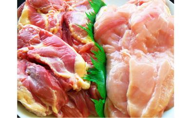 名古屋コーチン丹波ささやま地鶏正肉セット