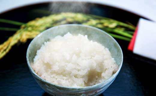 令和7年産新米 特A ランク米【特別栽培米】丹波篠山産コシヒカリ  5kg