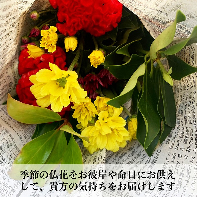 丹波篠山　ふるさとのお墓のお手入れ・お墓参り代行（年4回）